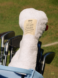 The Green Swing Cover image 1
