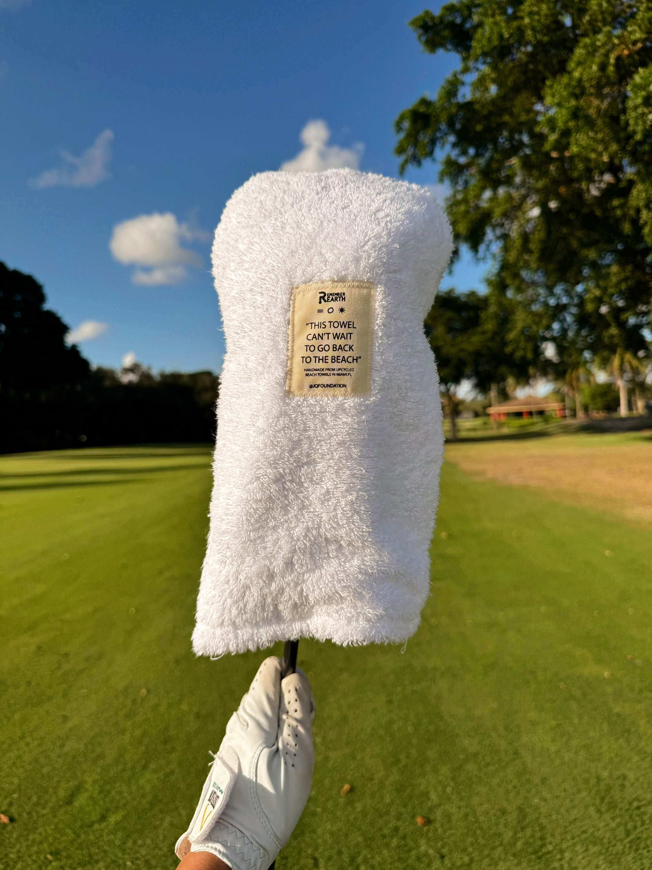 The Green Swing Cover image 3